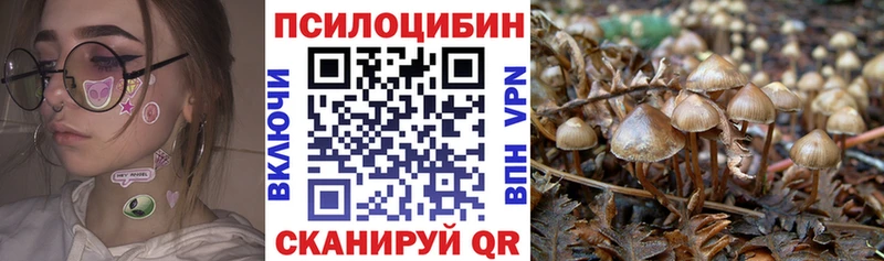Галлюциногенные грибы GOLDEN TEACHER  Калач 
